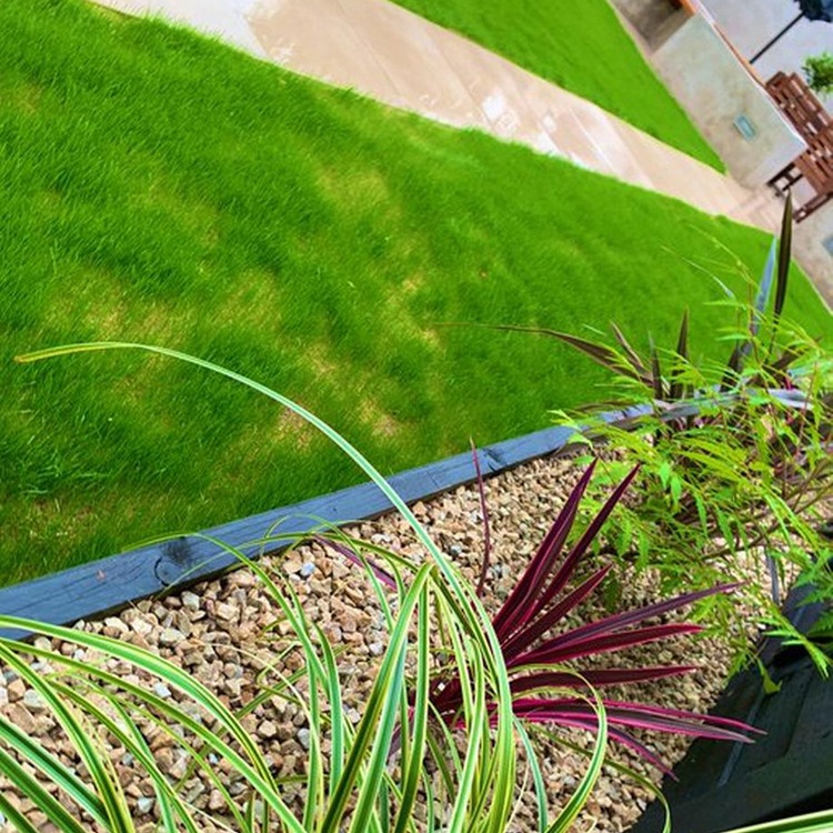 Dancing With The Stars judge Brian Redmond Garden Renovation